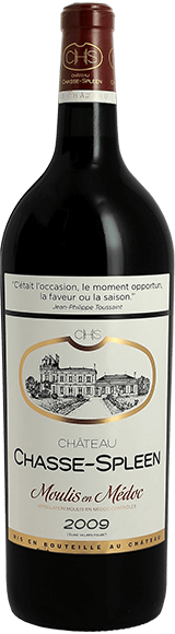 Chateau Chasse Spleen 2009 en magnum